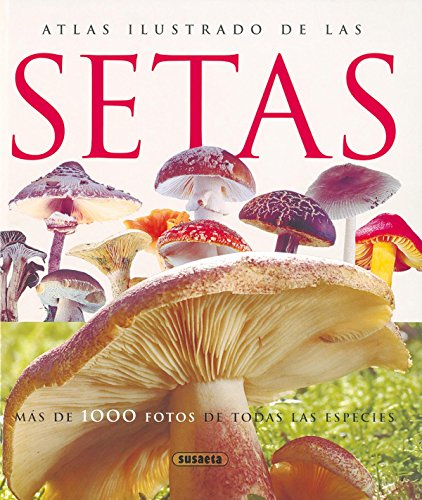 Setas (Spanish Edition)