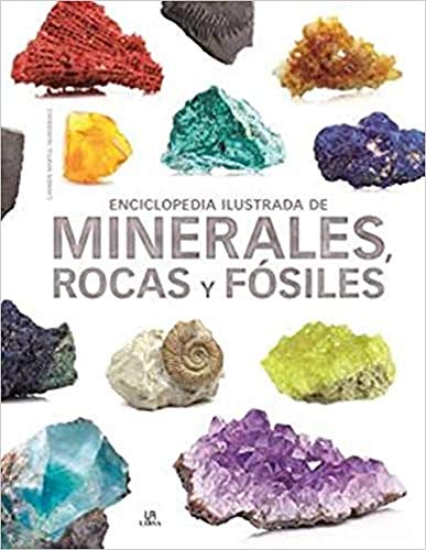 Enciclopedia Ilustrada de Minerales, Rocas y Fósiles (Grandes Enciclopedias) (Spanish Edition)