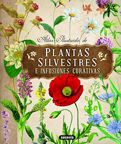 Atlas ilustrado de plantas silvestres e infusiones curativas (Spanish Edition)