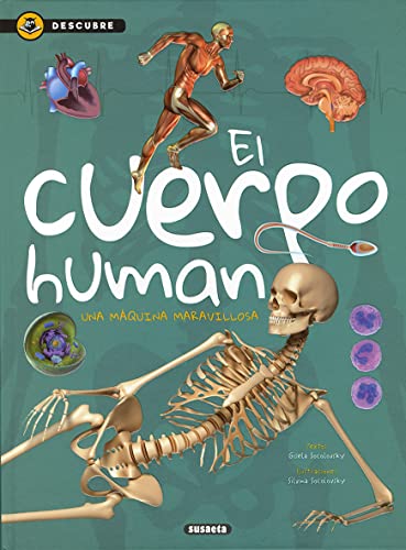 El cuerpo humano (Descubre) (Spanish Edition)
