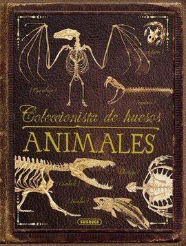 COLECCION DE HUESOS ANIMALES