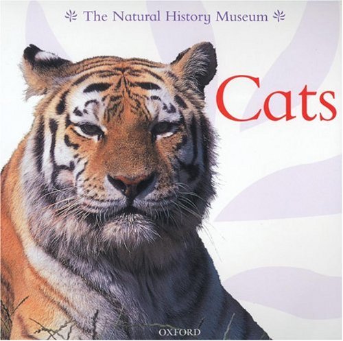 Cats (gatos)