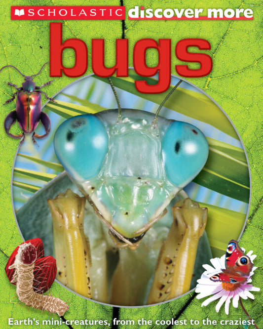 Scholastic Discover More: Bugs